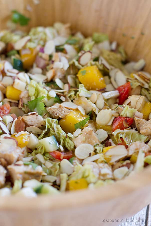 Mango Chicken Salad - Chopped chicken, sweet mango and lots of vegetables are combined with a coconut milk dressing in this light and healthy Mango Chicken Salad.