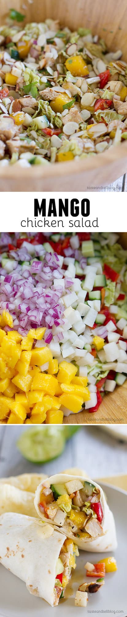 Chopped chicken, sweet mango and lots of vegetables are combined with a coconut milk dressing in this light and healthy Mango Chicken Salad. Serve on tortillas as a wrap, on a sandwich, or just straight from the bowl!