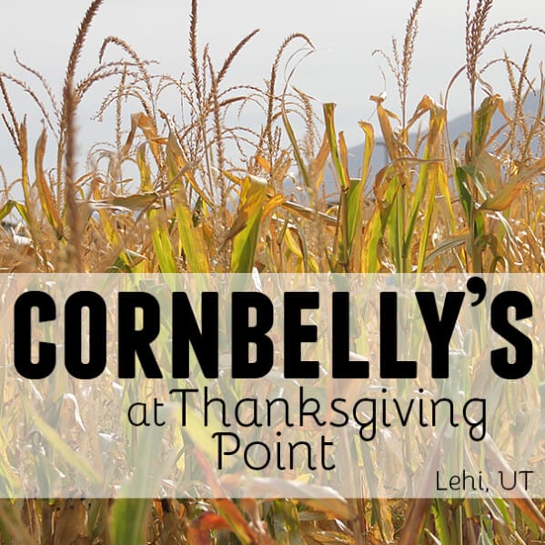 Cornbelly's at Thanksgiving Point