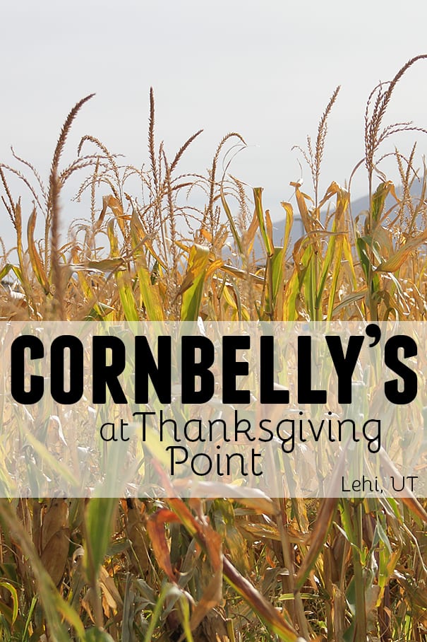 Newburyport thanksgiving football game