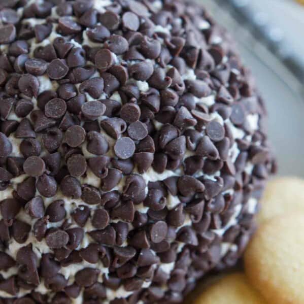 Cannoli Cheese Ball - a dessert cheese ball made from cream cheese that tastes like cannoli filling.