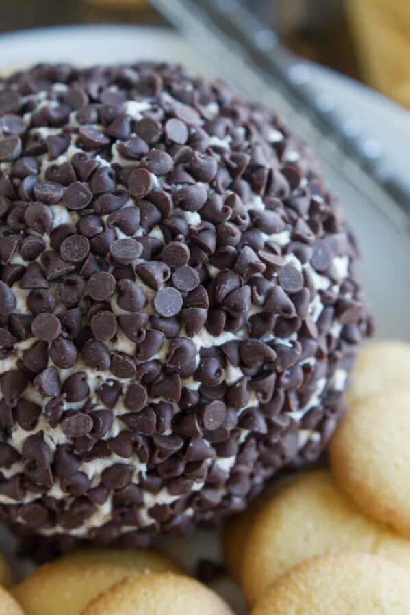 Cannoli Cheese Ball - a dessert cheese ball made from cream cheese that tastes like cannoli filling.