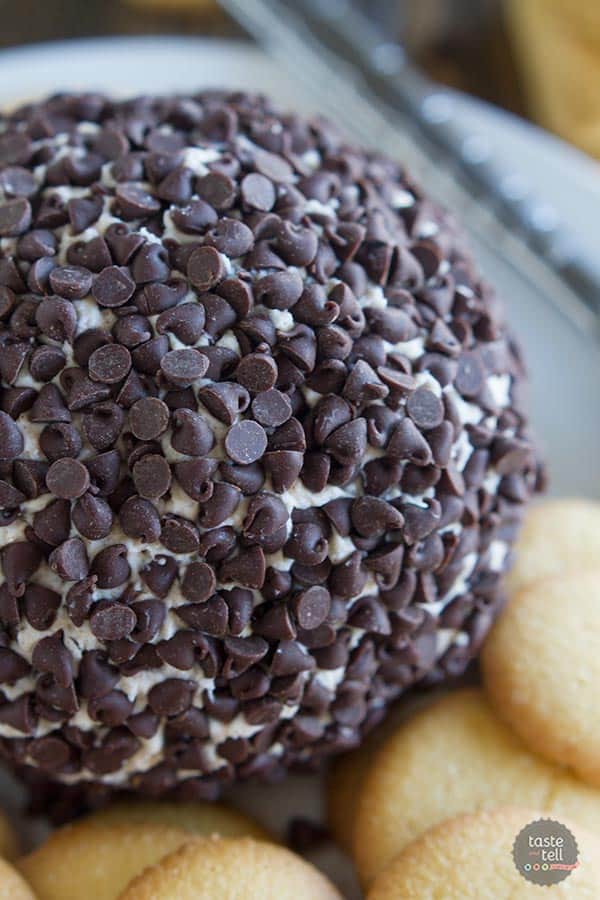 This Cannoli Cheeseball has the flavors of cannoli filling turned into a cheeseball. It's a super easy recipe for entertaining!