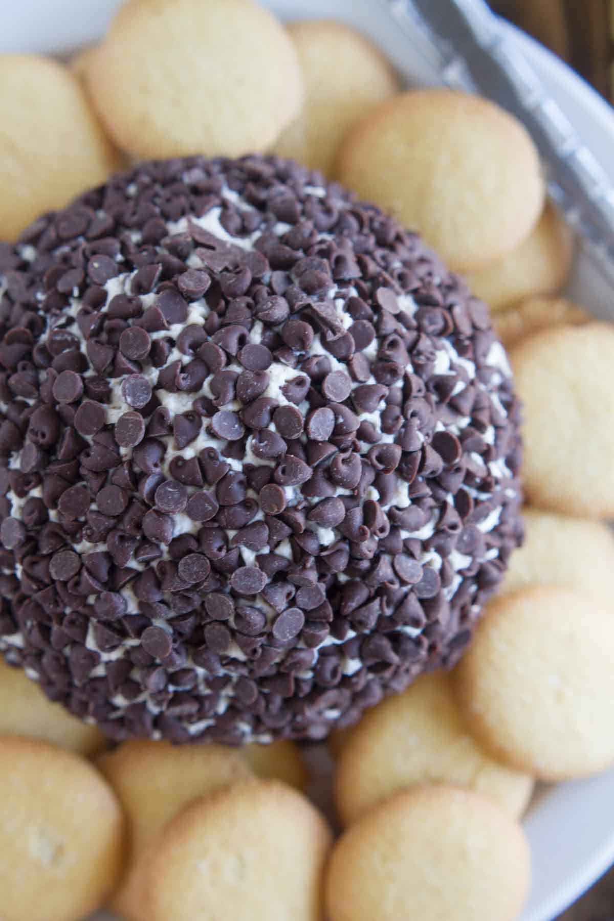 Cannoli Cheese Ball covered in chocolate chips served with vanilla wafers.