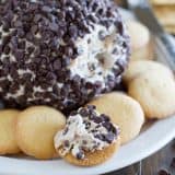 Cannoli Cheese ball on a plate surrounded by vanilla wafers.
