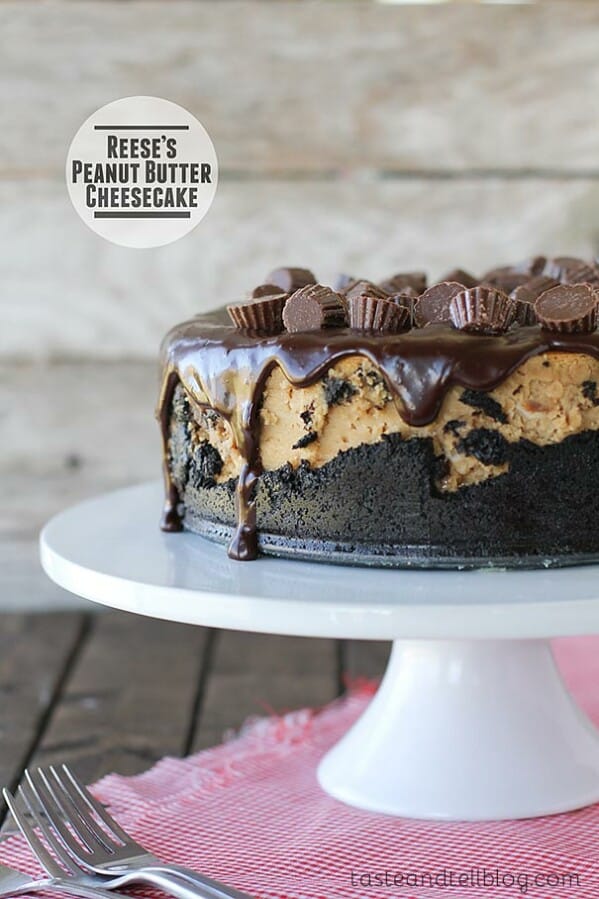 Peanut Butter Cup Ice Cream Cake Taste and Tell