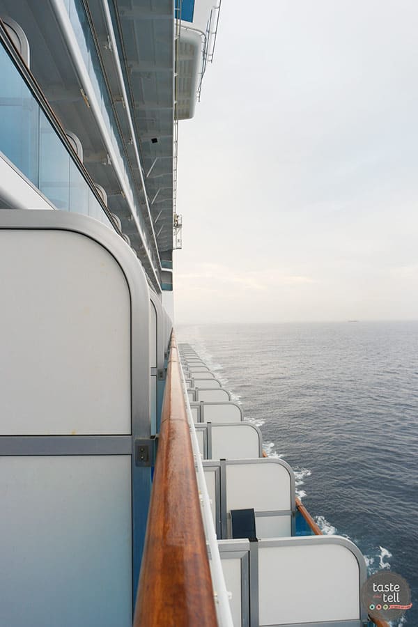 A look at the Ruby Princess - on of the Princess Cruises ships.