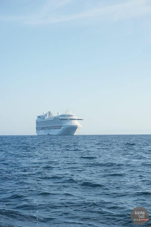 A look at the Ruby Princess - on of the Princess Cruises ships.