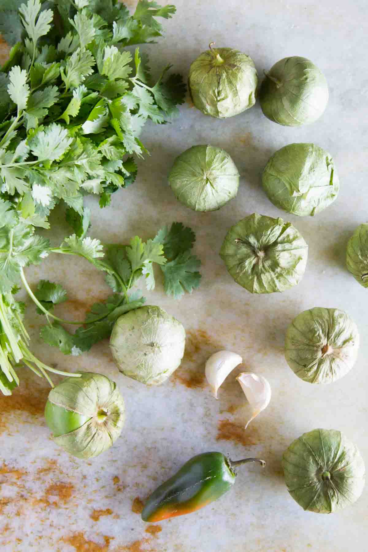 Ingredients for Tomatillo Salsa Verde