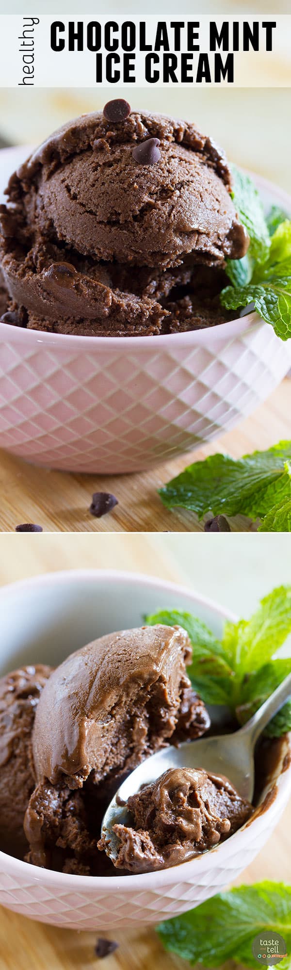 Healthy Chocolate Mint Ice Cream Taste and Tell