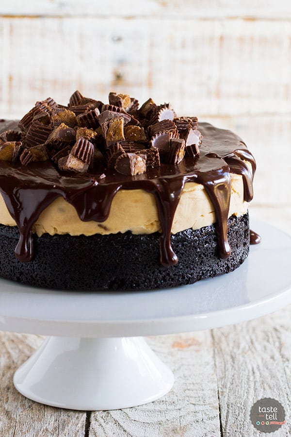 Peanut butter cup lovers - this one’s for you! This Peanut Butter Cup Ice Cream Cake is a dark chocolate cake that is topped with a no-churn peanut butter ice cream layer and finished off with chocolate ganache.