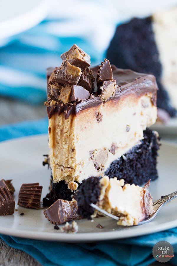 Peanut butter cup lovers - this one’s for you! This Peanut Butter Cup Ice Cream Cake is a dark chocolate cake that is topped with a no-churn peanut butter ice cream layer and finished off with chocolate ganache.