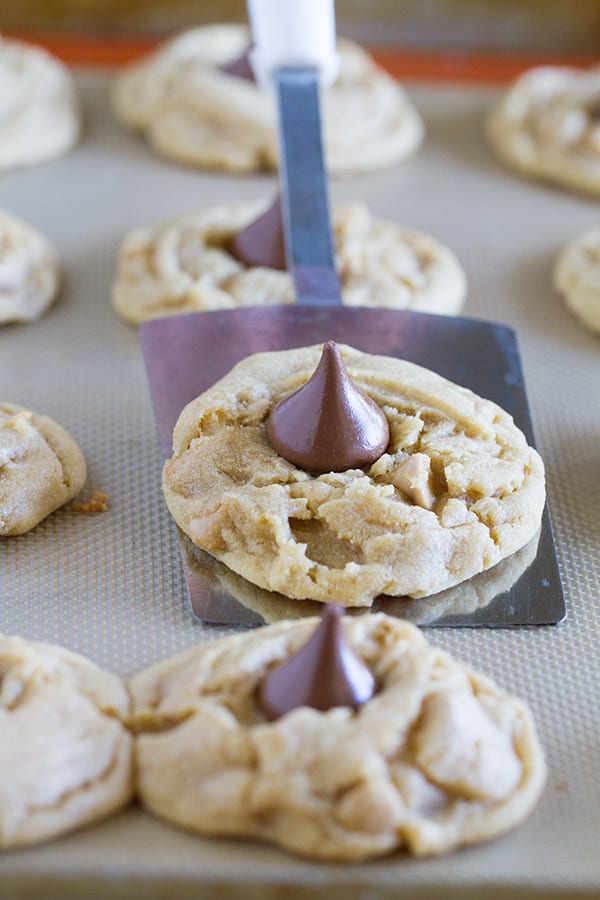 Sweet and a little salty, these Sea Salt Caramel Chip Blossom Cookies are a twist on the traditional blossom cookie that is perfect for holiday baking, or just for filling the cookie jar!