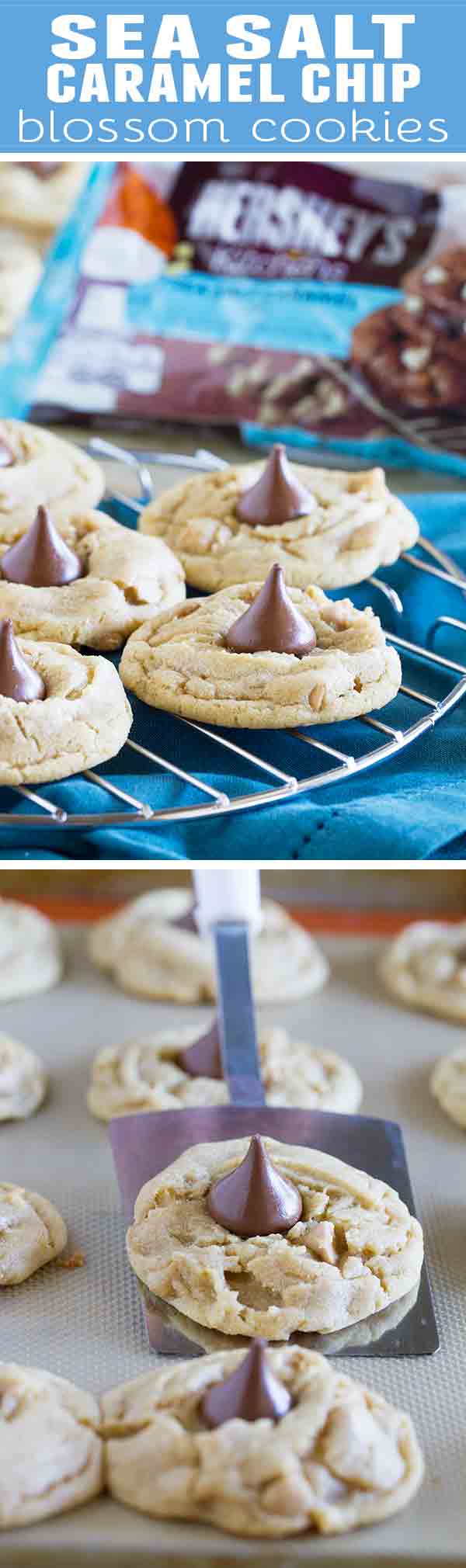 Sweet and a little salty, these Sea Salt Caramel Chip Blossom Cookies are a twist on the traditional blossom cookie that is perfect for holiday baking, or just for filling the cookie jar!