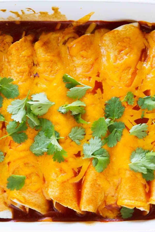 There is more to Thanksgiving leftovers than turkey sandwiches! These Thanksgiving Leftover Enchiladas are a great way to turn those leftovers into something different and delicious.