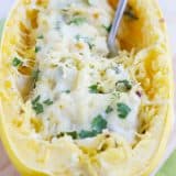 A healthier way to serve a favorite dip, this Spinach Artichoke Spaghetti Squash Recipe has squash combined with spinach, artichokes, and a creamy cheese sauce.