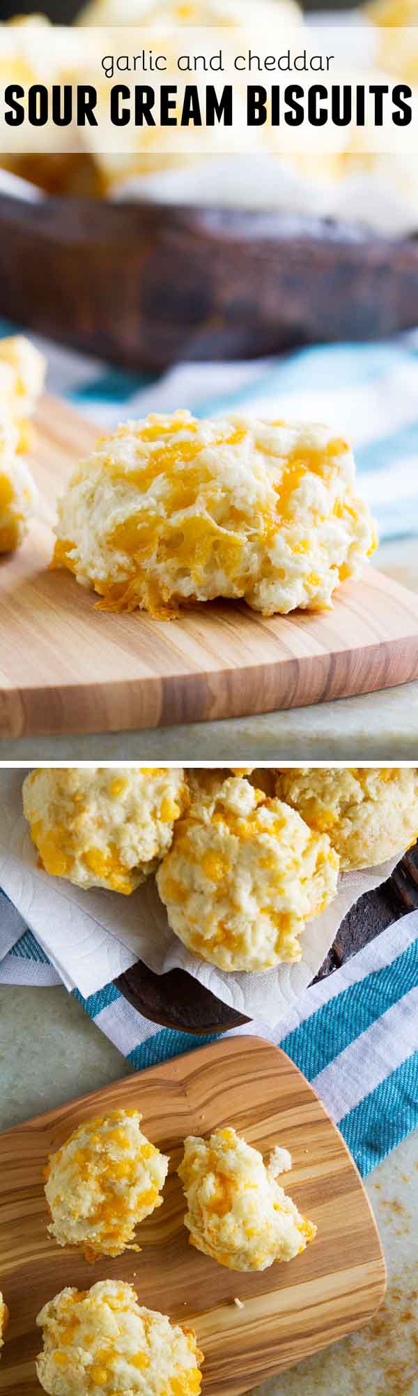 Garlic and Cheddar Sour Cream Biscuits Taste and Tell