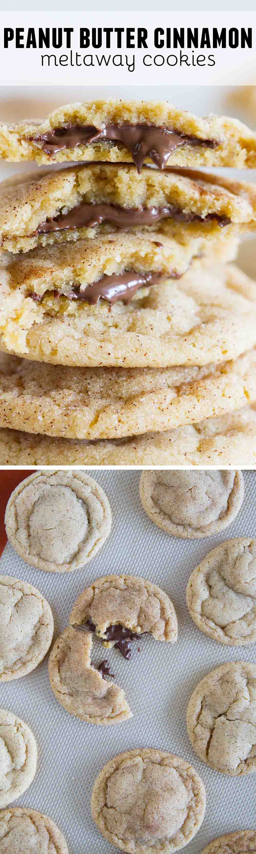 Peanut Butter Cinnamon Meltaway Cookies Taste and Tell