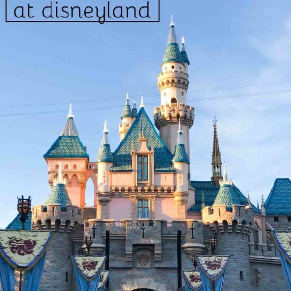 What We Ate at Disneyland