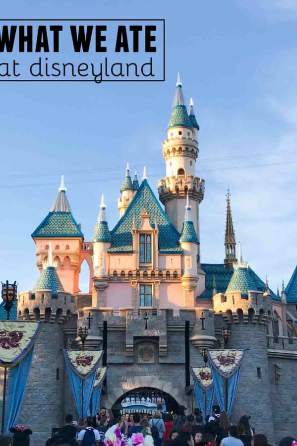 What We Ate at Disneyland