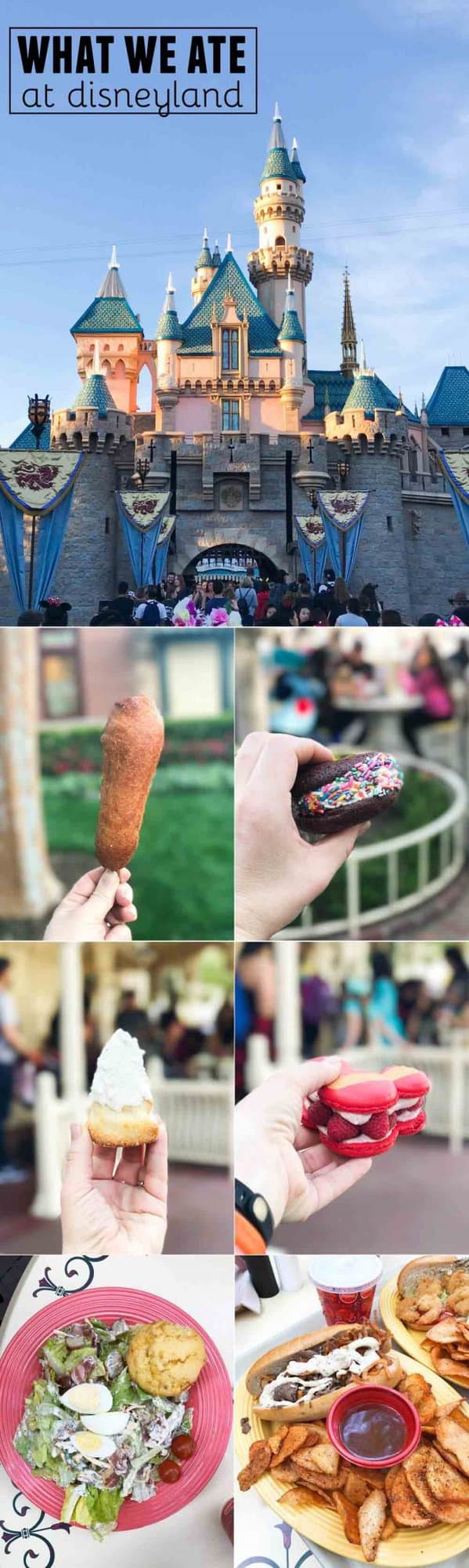 What We Ate at Disneyland - sweet and savory and everything in between!
