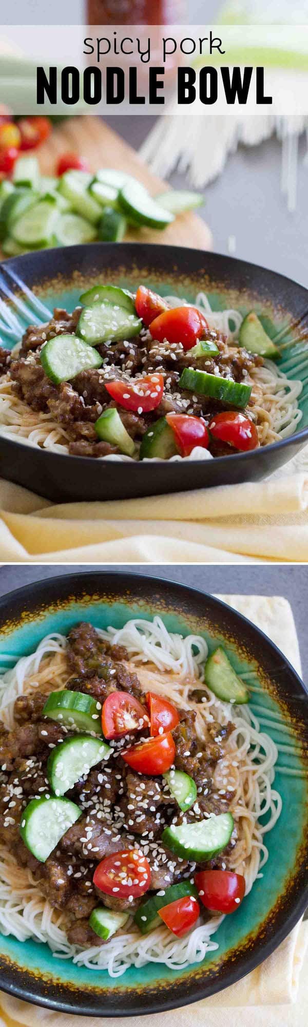 Spicy Pork Noodle Bowl Taste and Tell