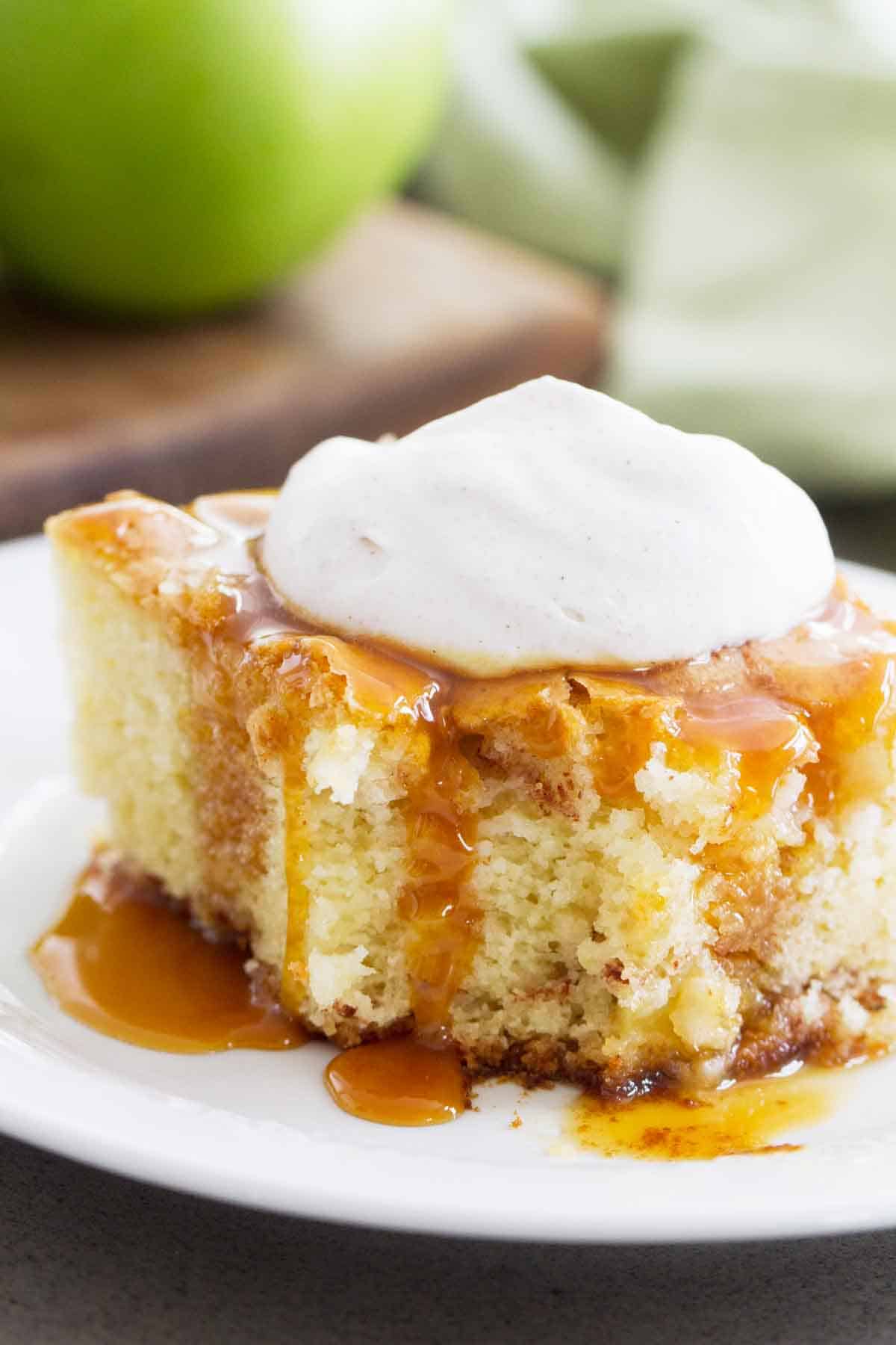 close up shot of apple cinnamon cake, showing texture of cake