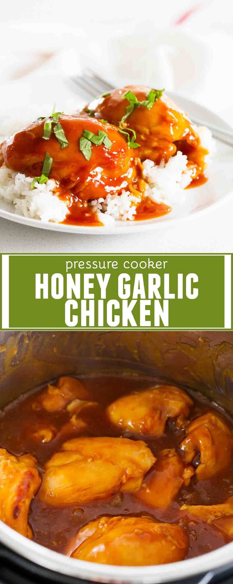 Instant Pot Honey Garlic Chicken Taste and Tell