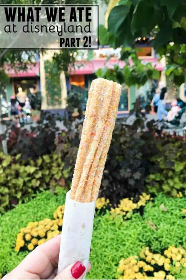 What We Ate at Disneyland - Part 2. Sweet, savory - and my recommendations for what to eat at Disneyland!