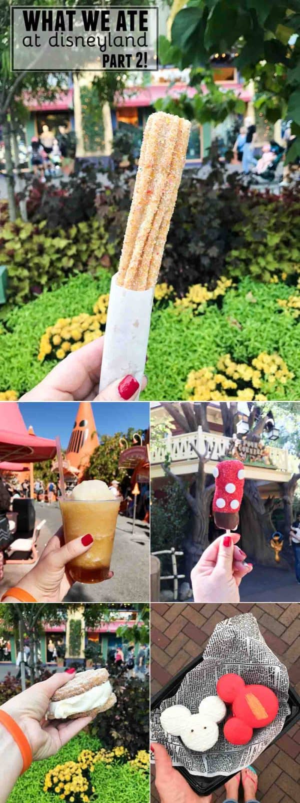 What We Ate at Disneyland - Part 2. Sweet, savory - and my recommendations for what to eat at Disneyland!
