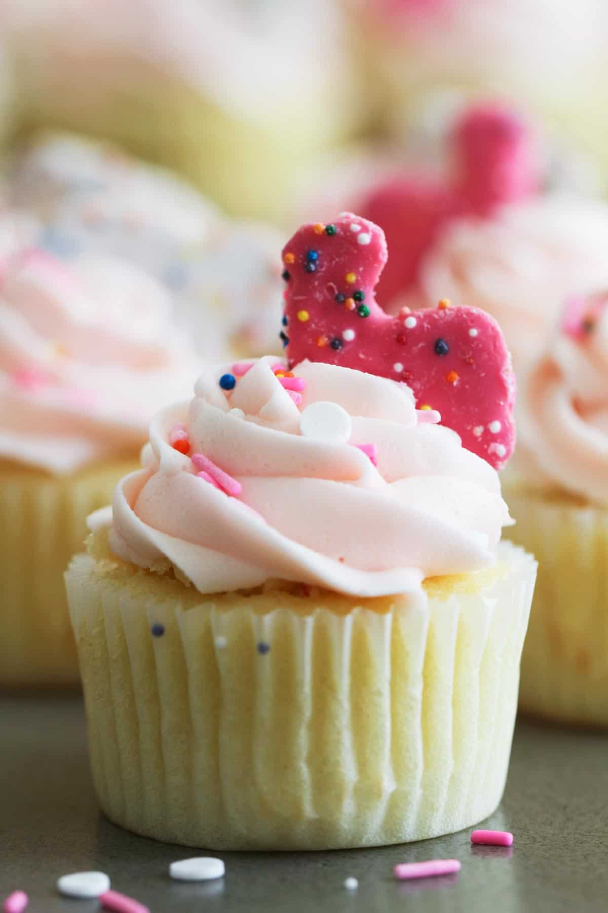 close up of Circus Animal Cookie Cupcake