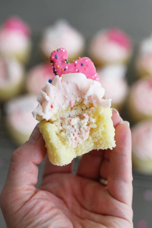 showing the filling in Circus Animal Cookie Cupcakes