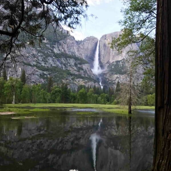 Yosemite National Park and Housekeeping Camp