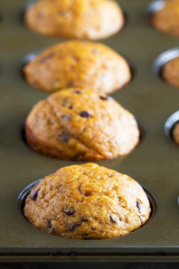 Pumpkin Muffins with Chocolate Chips in a muffin tin