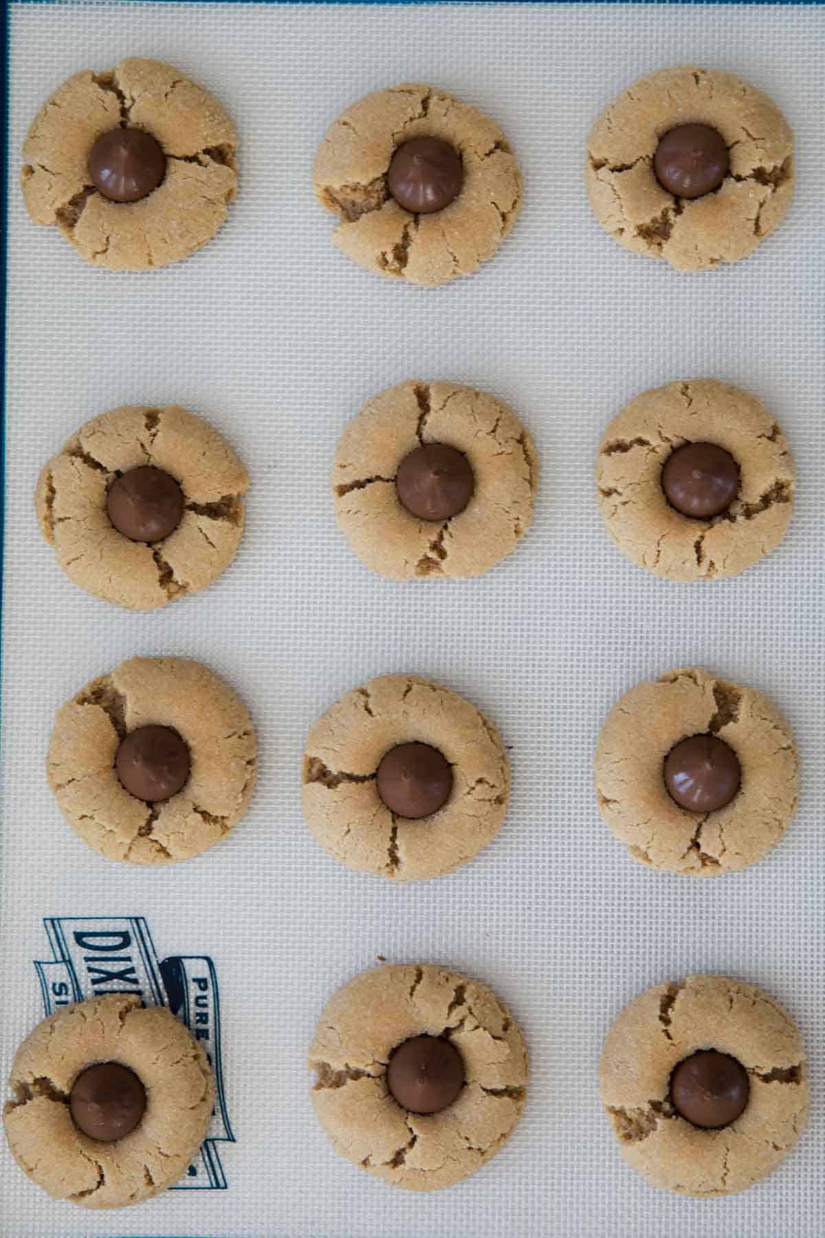 Peanut Butter Blossoms on a baking sheet