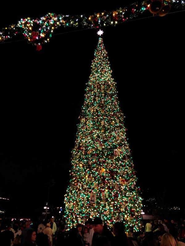 Christmas Tree at Disneyland