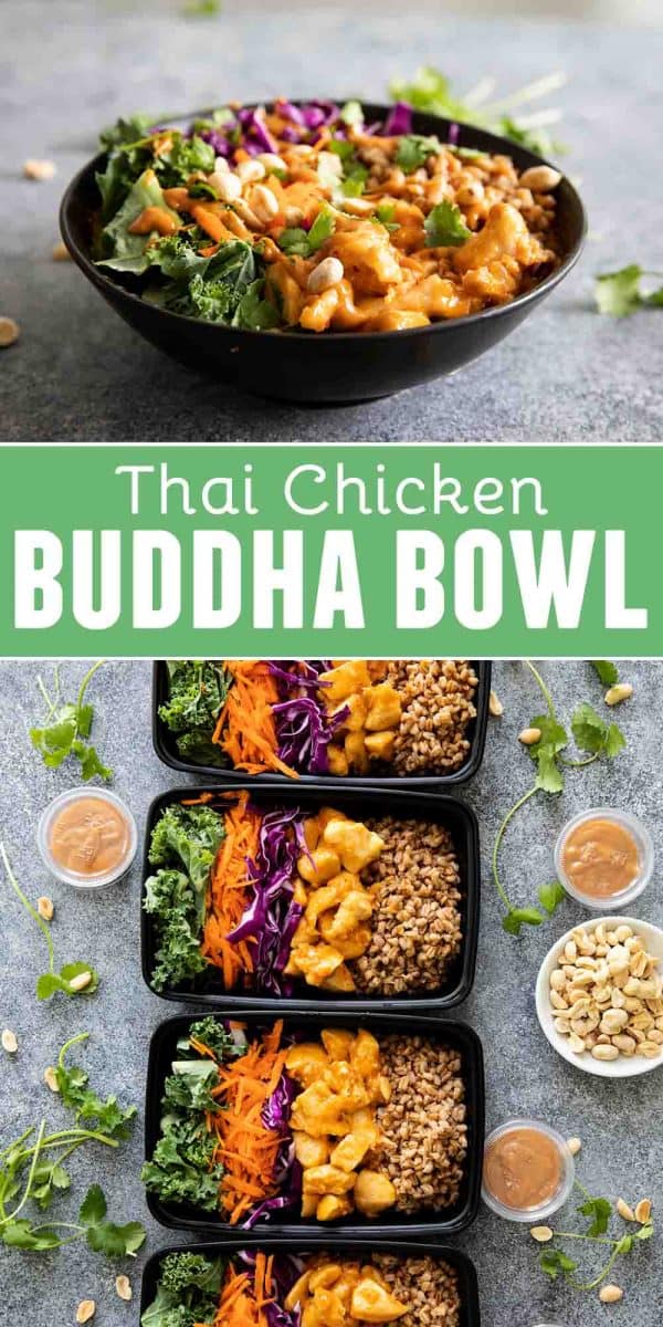 Thai Chicken Buddha Bowl Recipe Taste and Tell