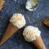 Toasted Coconut Ice Cream