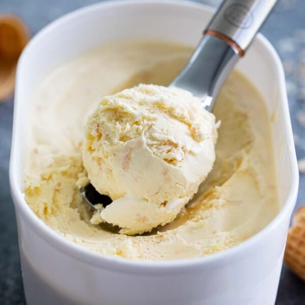 Homemade ice cream with toasted coconut