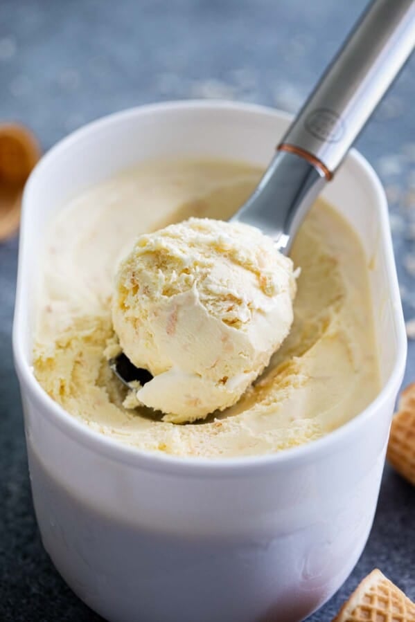 Homemade ice cream with toasted coconut