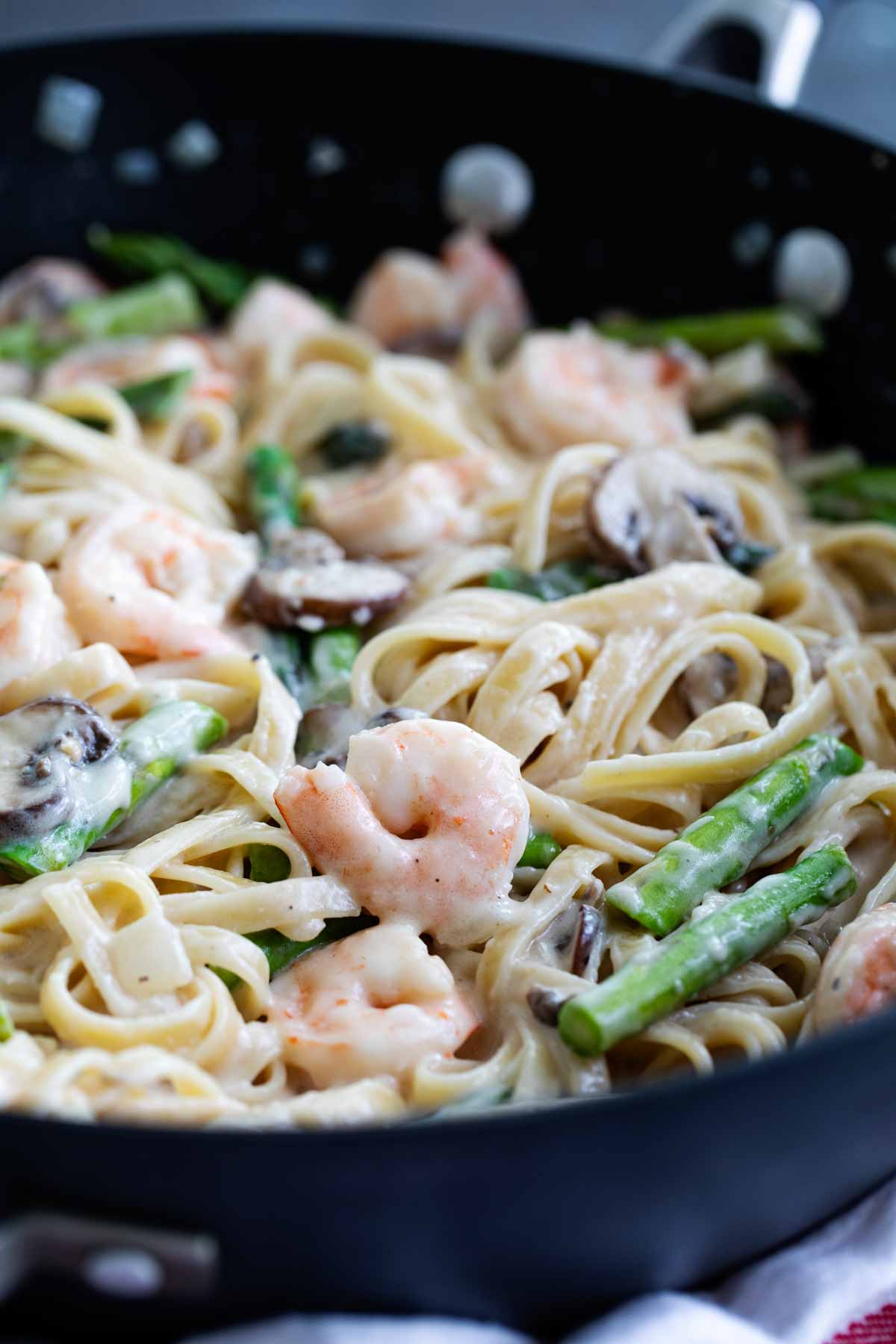 Shrimp Pasta in White Sauce Recipe - Taste and Tell