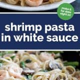 Shrimp Pasta in White Sauce