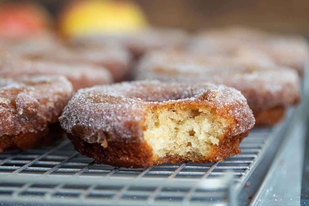 Texture of Homemade Cake Donuts