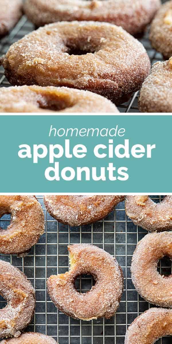 Homemade Apple Cider Donuts Recipe Taste and Tell