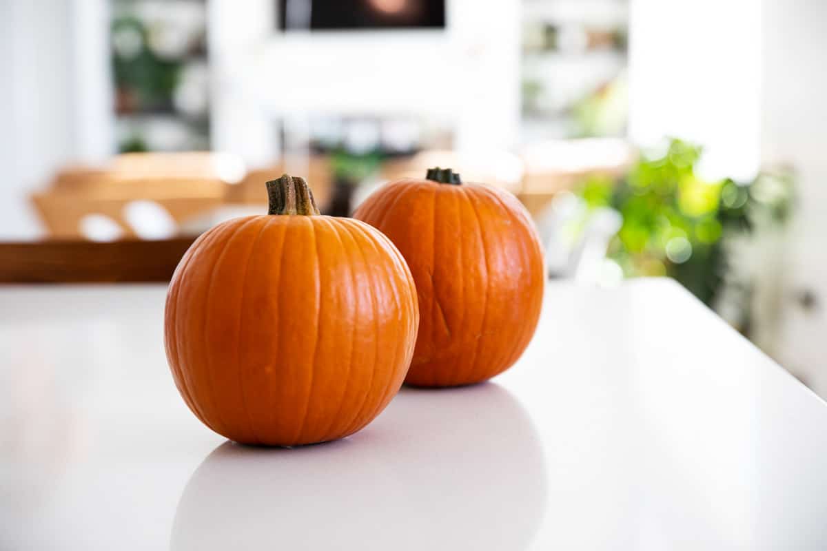 Sugar pumpkins on a counter