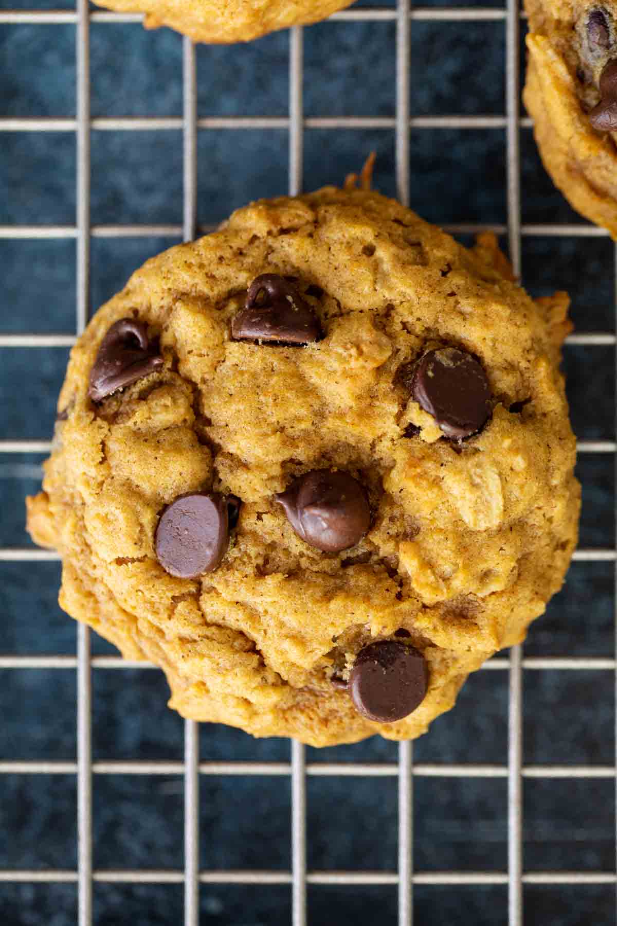 pumpkin cookies with oatmeal and chocolate chips close up showing texture.
