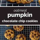 Oatmeal Pumpkin Chocolate Chip Cookies