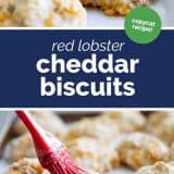 Red Lobster Cheddar Biscuits collage with text bar in the middle.