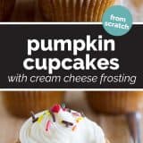 Pumpkin Cupcakes with Cream Cheese Frosting