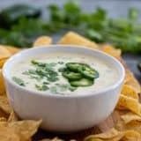 bowl of white queso blanco surrounded by tortilla chips